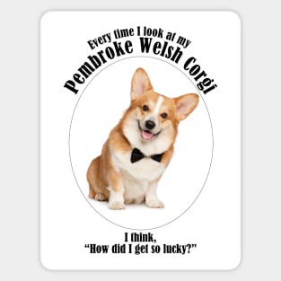 Lucky Corgi Sticker